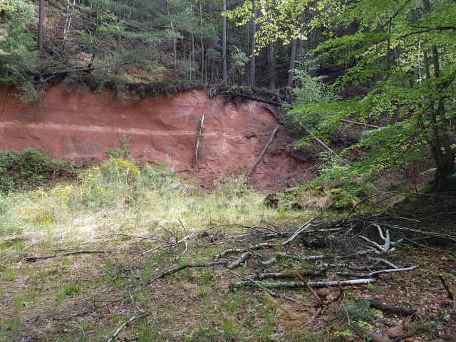 2019-05-10 - obersteinbach (34)