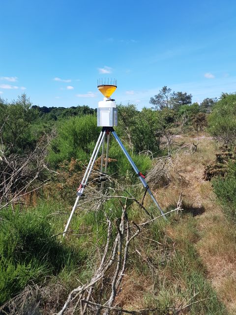 2019-05-31 saint-laurent-sur-oust (40)