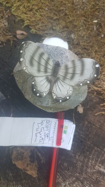 2019-08-31 - neuville-aux-bois (05)