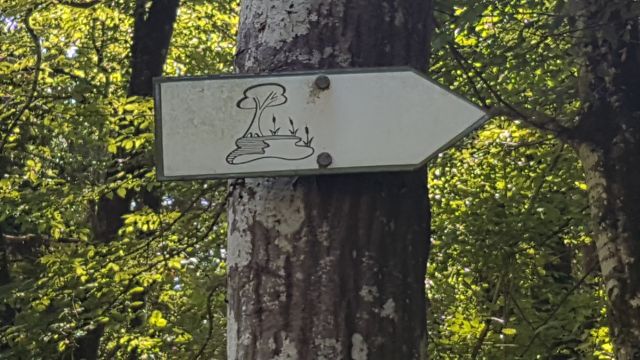2019-08-31 - neuville-aux-bois (15)