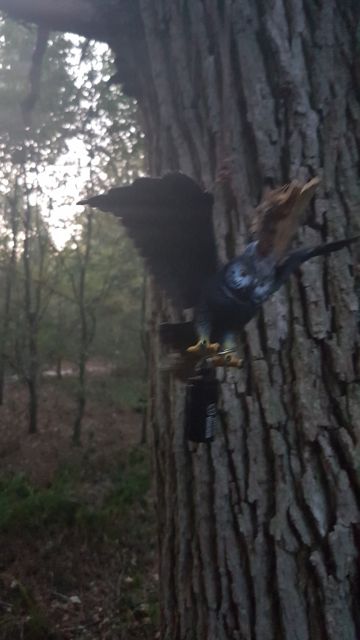2019-09-21-fontaine-la-guyon (02)