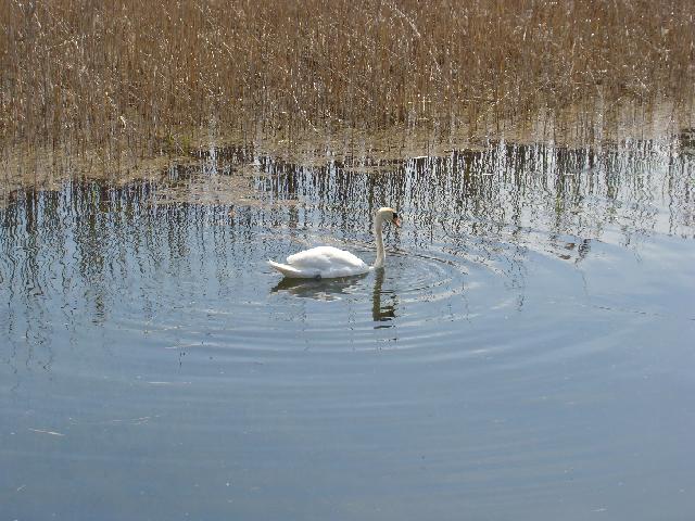 2012-05-20-st dizier (087)