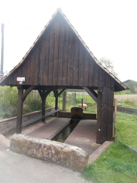 2019-05-10 - obersteinbach (50)