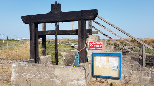 2019-07-23 - bouin (14)