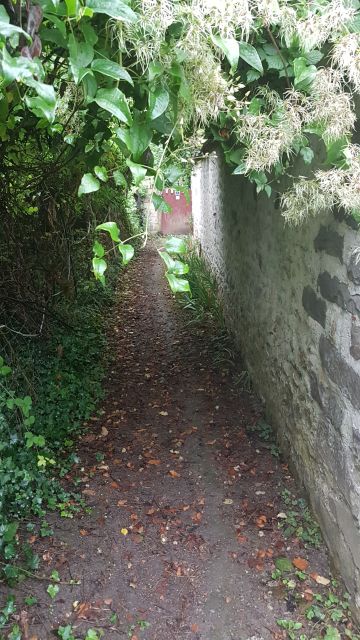2019-08-18 - milly-la-foret (08)