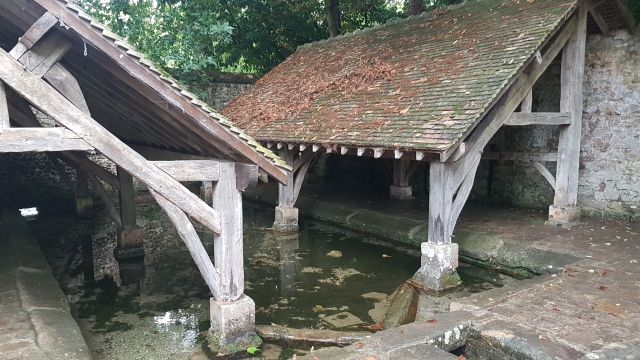 2019-08-18 - milly-la-foret (18)