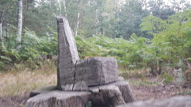 2019-09-01 - rambouillet (04)