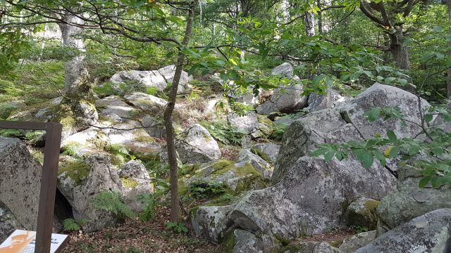 2019-09-01 - rambouillet (29)
