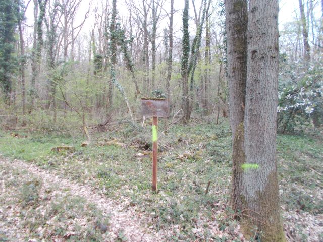 2019-04-07 - evry-courcouronnes (04)