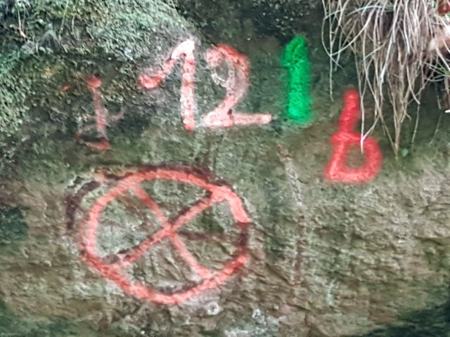 2019-05-10 - obersteinbach (24)