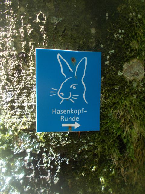 2019-05-10 - obersteinbach (29)