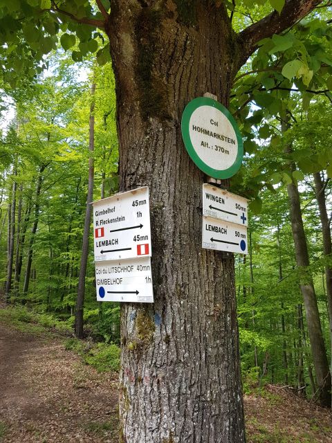 2019-05-10 - obersteinbach (36)