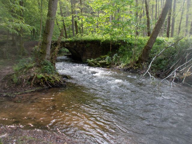 2019-05-10 - obersteinbach (61)