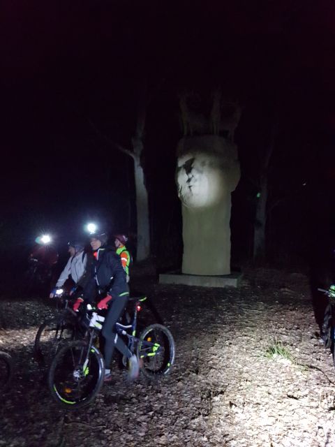 2019-02-08 - le coudray-montceaux (05)