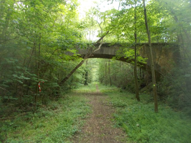 2019-05-19 - verneuil-l-etang (11)