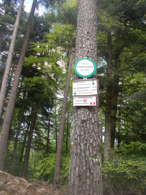 2019-05-10 - obersteinbach (52)