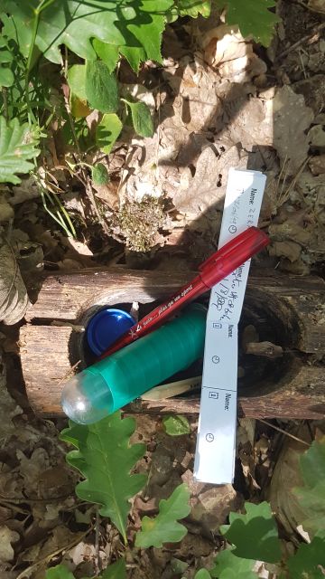 2019-08-31 - neuville-aux-bois (14)