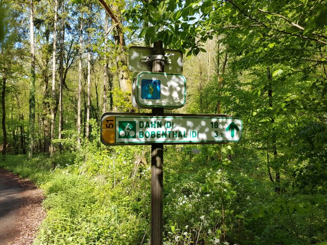 2019-05-10 - obersteinbach (20)