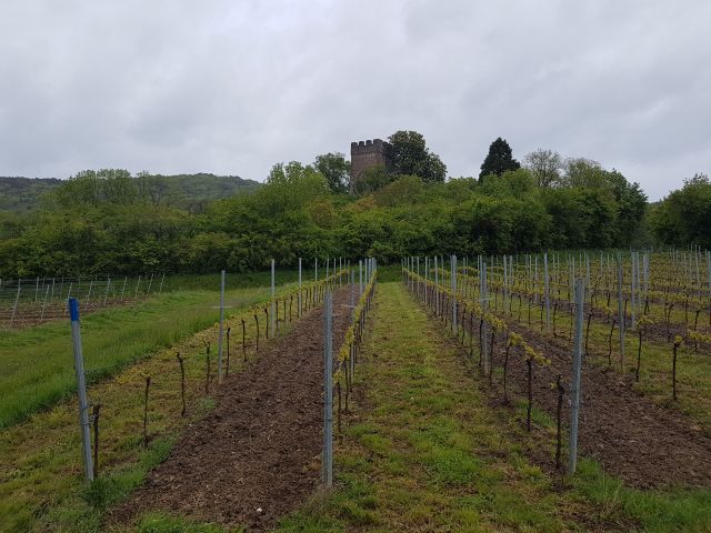 2019-05-09 - landau-in-der-pfalz (07)