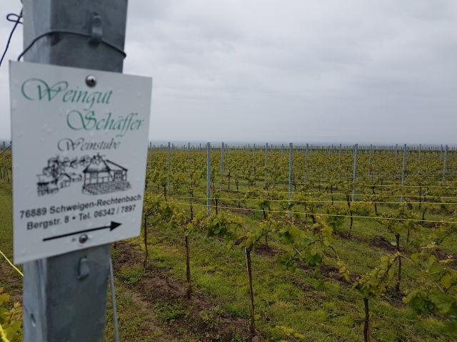 2019-05-09 - landau-in-der-pfalz (08)