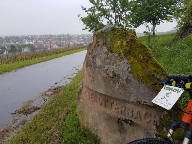 2019-05-09 - landau-in-der-pfalz (18)