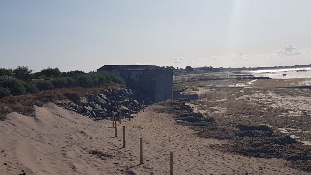 2019-07-31-noirmoutier-en-l-ile (10)