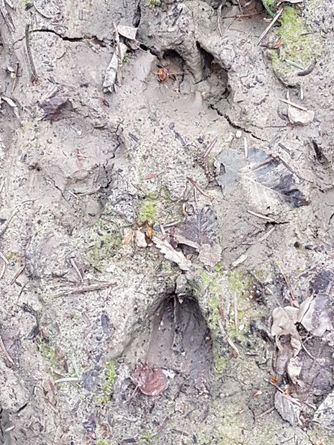 2019-04-07 - evry-courcouronnes (03)