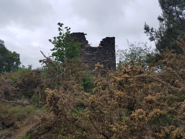 2019-05-30 - questembert (09)