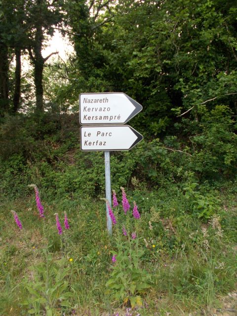 2019-05-30 - questembert (41)
