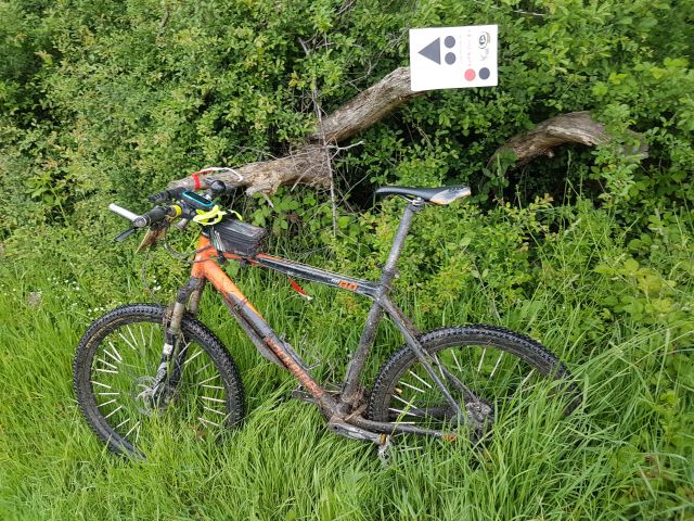 2019-05-19 - verneuil-l-etang (15)