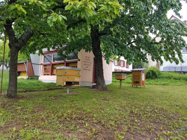 2019-05-09 - landau-in-der-pfalz (11)