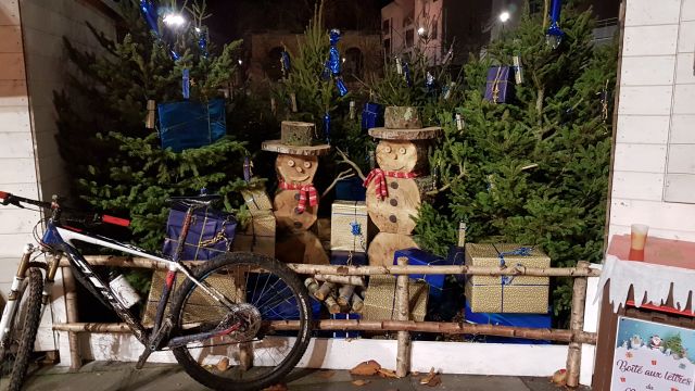 2019-12-07 - bonnieres-sur-seine (12)
