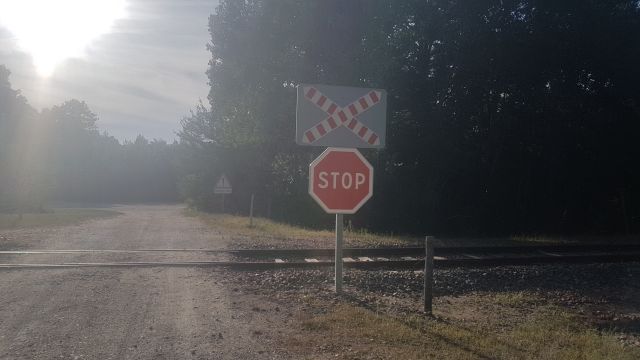 2019-08-31 - neuville-aux-bois (07)