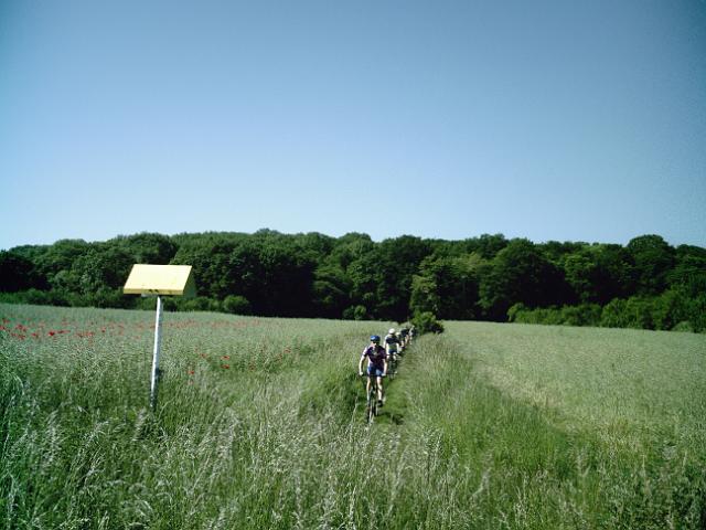 2010-06-04-orsay (04)