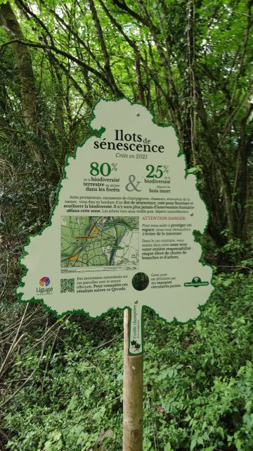 2023-04-28 - saint-benoit (06)