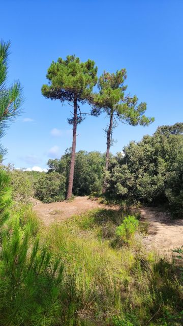 2023-08-26 - saint-jean-de-monts (08)