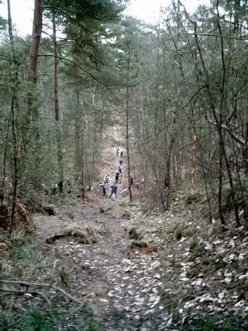 2008-01-20 - dammartin (11)