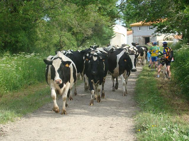 2009-05-21-pornic (030)