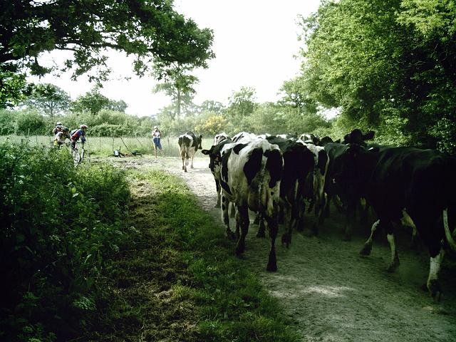 2009-05-21-pornic (041)