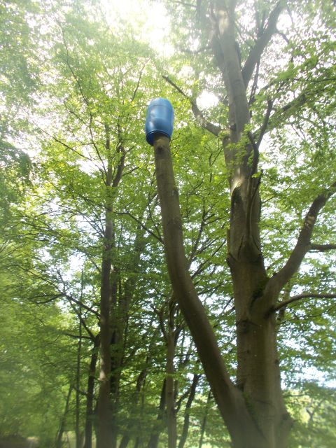 2019-05-10 - obersteinbach (30)