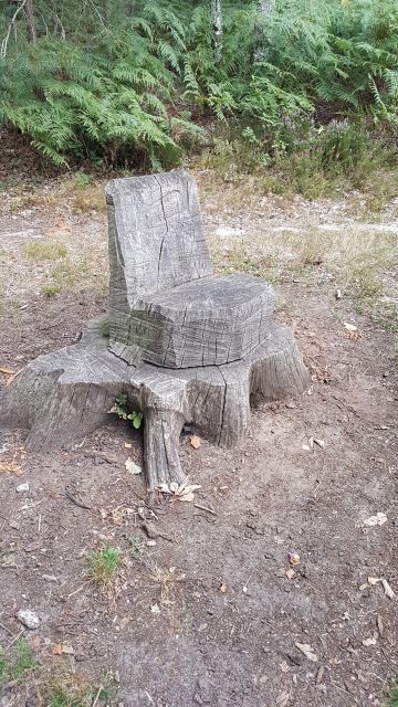2019-09-01 - rambouillet (05)