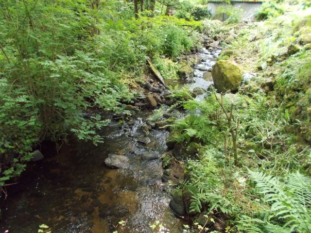 2019-05-30 - questembert (49)