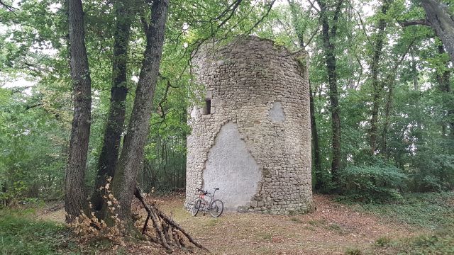 2019-08-15 - vallery (09)