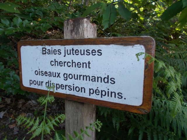2019-06-01 - saint-nicolas-de-redon (38)