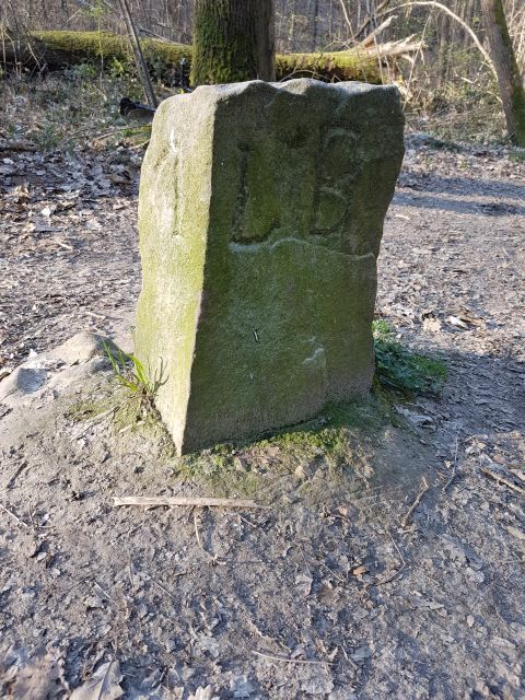 2019-03-31 - villiers-sur-orge (25)