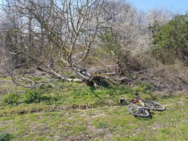 2019-03-31 - villiers-sur-orge (31)