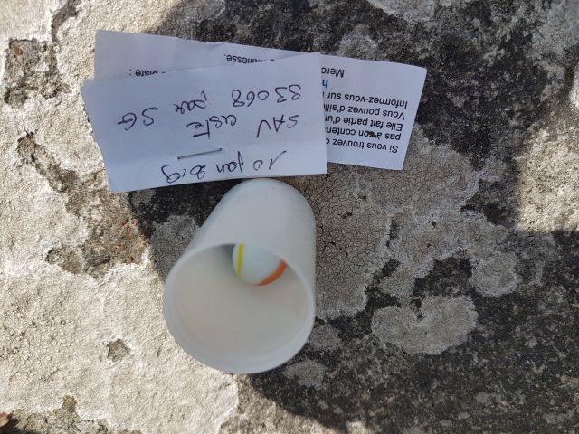 2019-04-30 - bretigonelles-sur-mer (05)