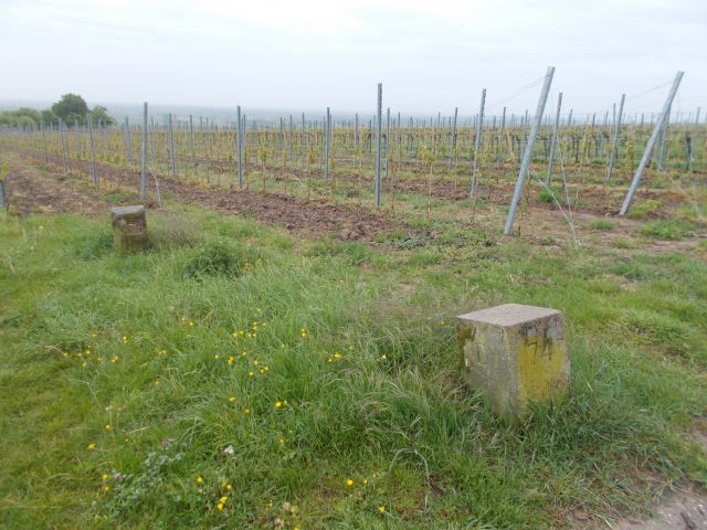 2019-05-09 - landau-in-der-pfalz (06)