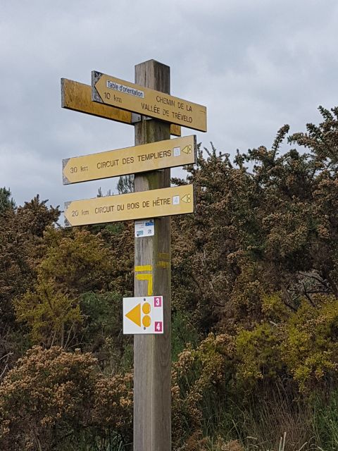 2019-05-30 - questembert (42)