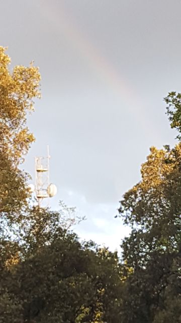 2019-07-31-noirmoutier-en-l-ile (01)